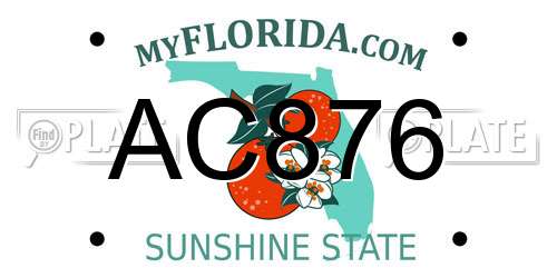 AC876 Florida License Plate