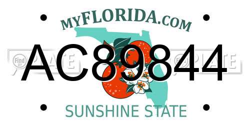AC89844 Florida License Plate