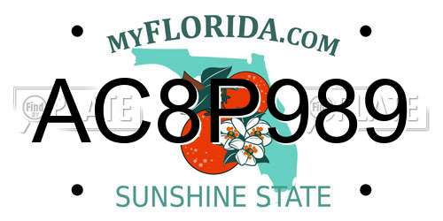 AC8P989 Florida License Plate