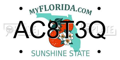 AC8T3Q Florida License Plate