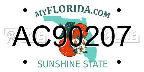 AC90207 Florida License Plate