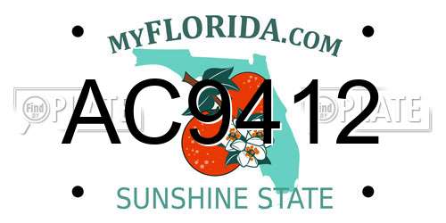 AC9412 Florida License Plate