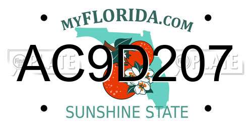 AC9D207 Florida License Plate