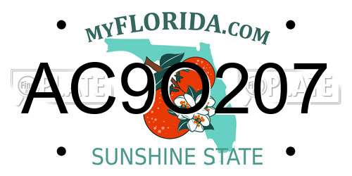 AC9O207 Florida License Plate
