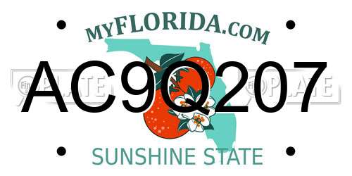 AC9Q207 Florida License Plate