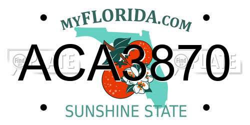 ACA3870 Florida License Plate