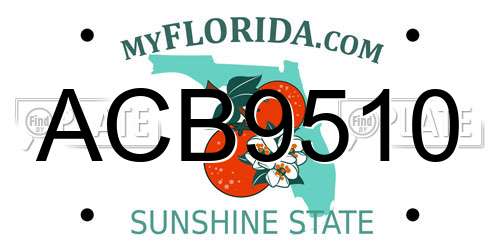 ACB9510 Florida License Plate