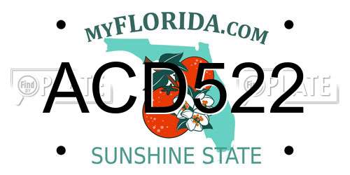 ACD522 Florida License Plate