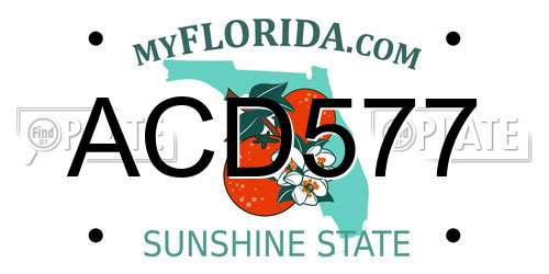 ACD577 Florida License Plate