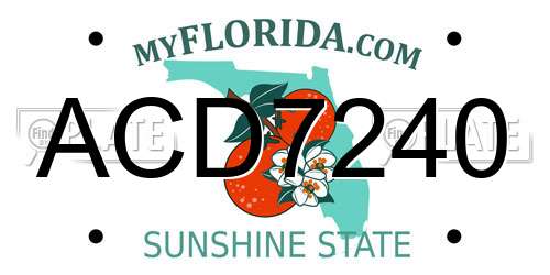 ACD7240 Florida License Plate