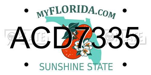ACD7335 Florida License Plate