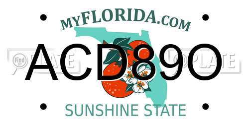 ACD89O Florida License Plate
