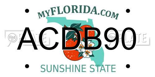 ACDB90 Florida License Plate