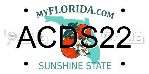 ACDS22 Florida License Plate