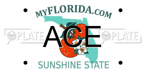ACE Florida License Plate