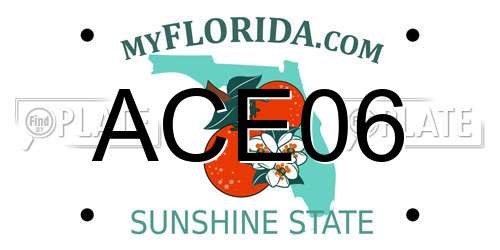 ACE06 Florida License Plate