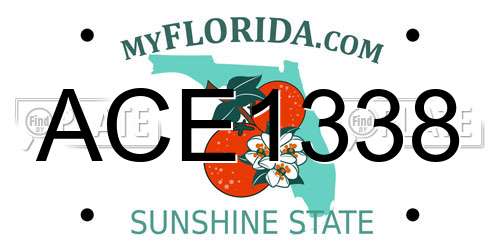 ACE1338 Florida License Plate