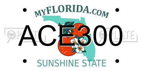 ACE300 Florida License Plate