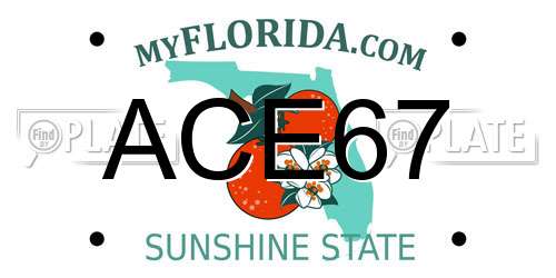ACE67 Florida License Plate