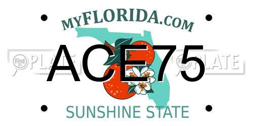 ACE75 Florida License Plate