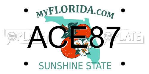 ACE87 Florida License Plate