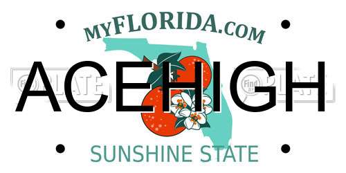 ACEHIGH Florida License Plate