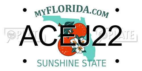 ACEJ22 Florida License Plate