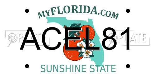 ACEL81 Florida License Plate