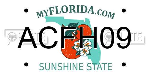 ACFH09 Florida License Plate