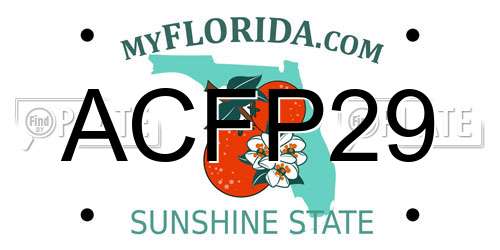 ACFP29 Florida License Plate