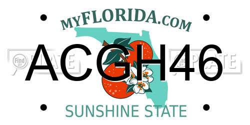 ACGH46 Florida License Plate