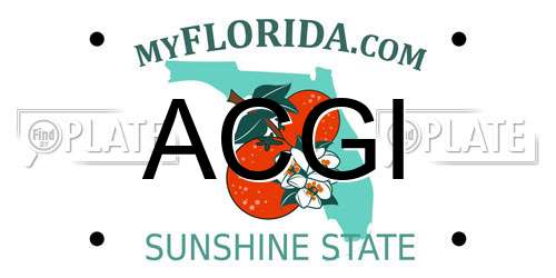 ACGI Florida License Plate