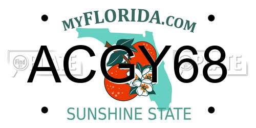 ACGY68 Florida License Plate