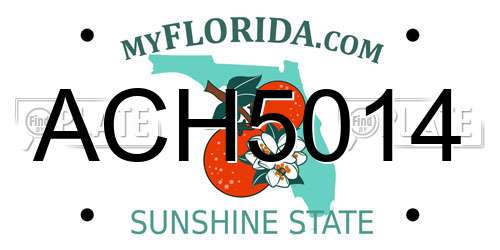 ACH5014 Florida License Plate