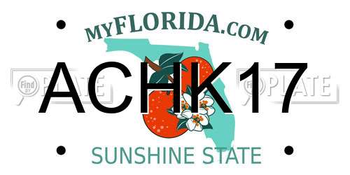 ACHK17 Florida License Plate