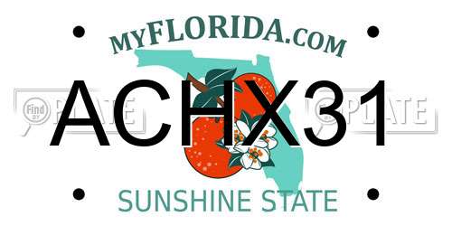 ACHX31 Florida License Plate