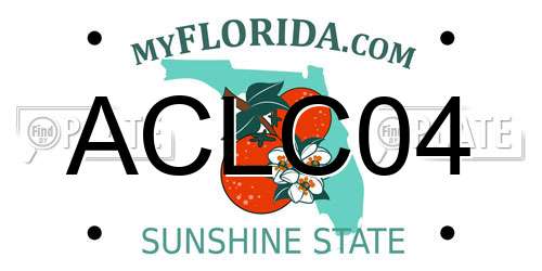 ACLC04 Florida License Plate