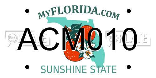 ACM010 Florida License Plate