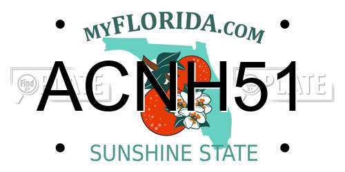 ACNH51 Florida License Plate