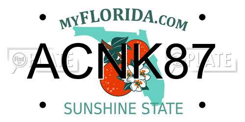 ACNK87 Florida License Plate