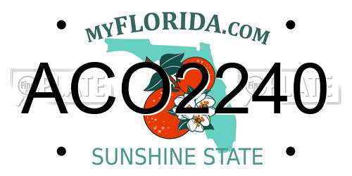 ACO2240 Florida License Plate