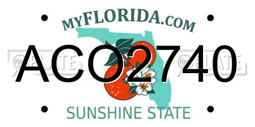 ACO2740 Florida License Plate