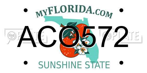 ACO572 Florida License Plate