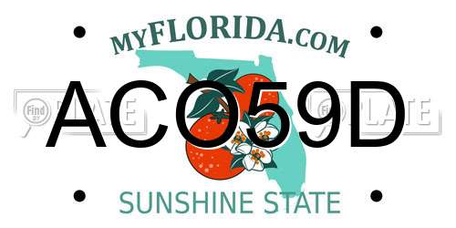 ACO59D Florida License Plate