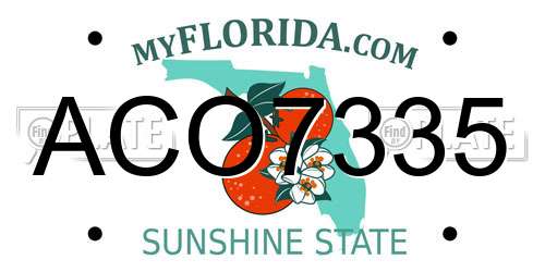 ACO7335 Florida License Plate
