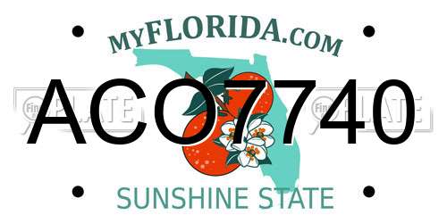 ACO7740 Florida License Plate