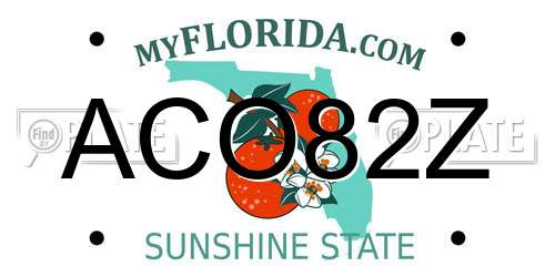 ACO82Z Florida License Plate