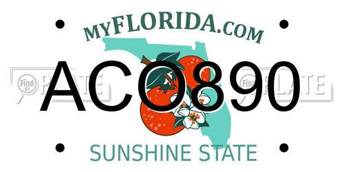 ACO890 Florida License Plate