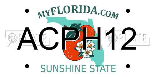 ACPH12 Florida License Plate