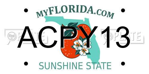 ACPY13 Florida License Plate